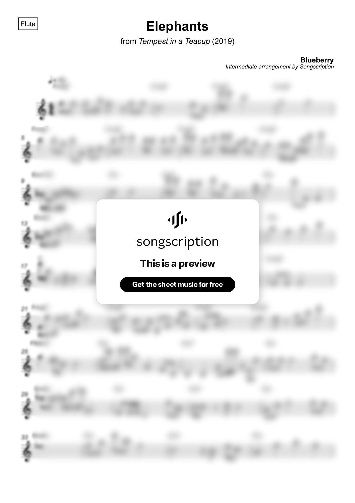 Intermediate Flute Sheet Music for "Elephants" by Blueberry