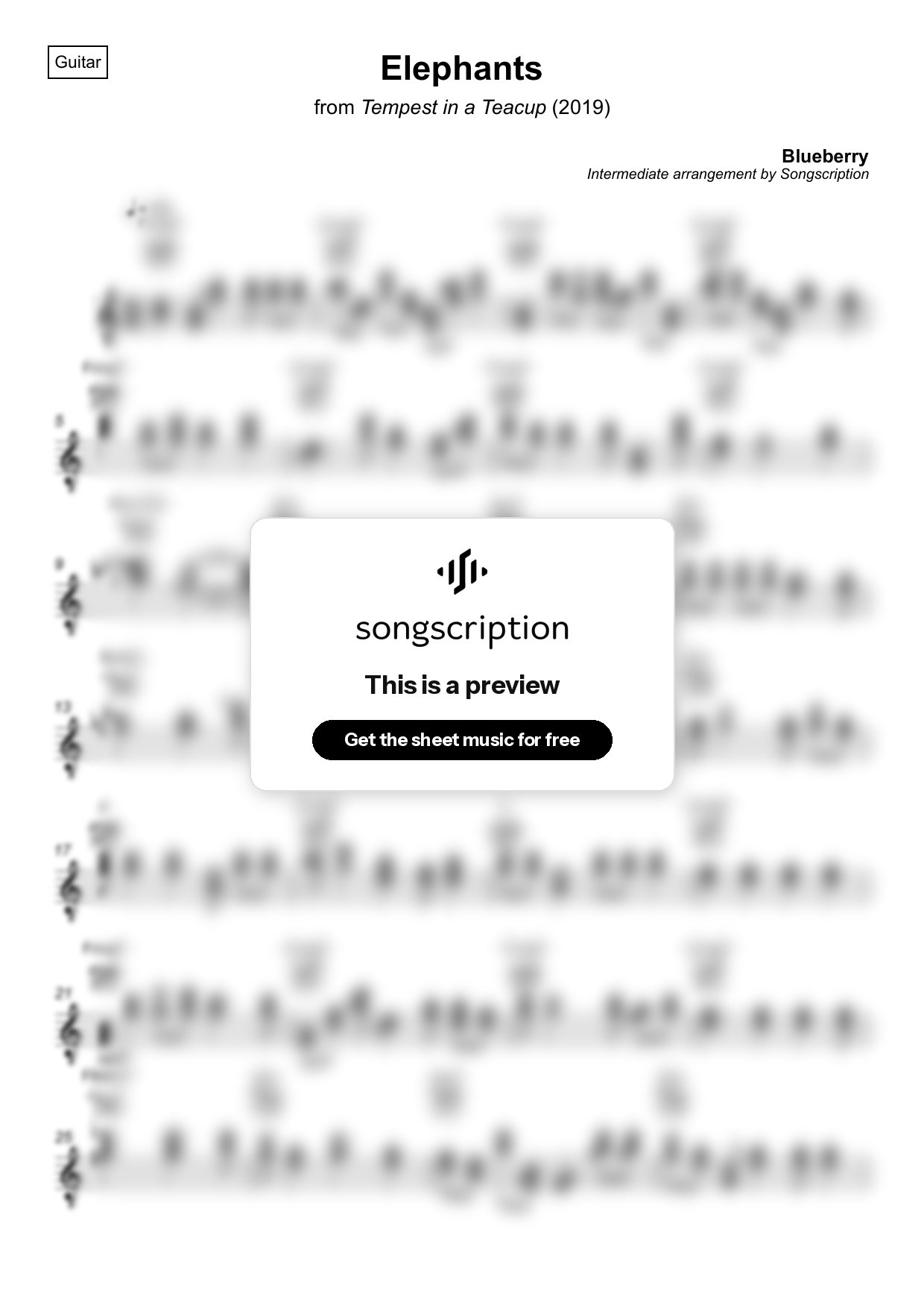 Intermediate Acoustic Guitar Sheet Music for "Elephants" by Blueberry