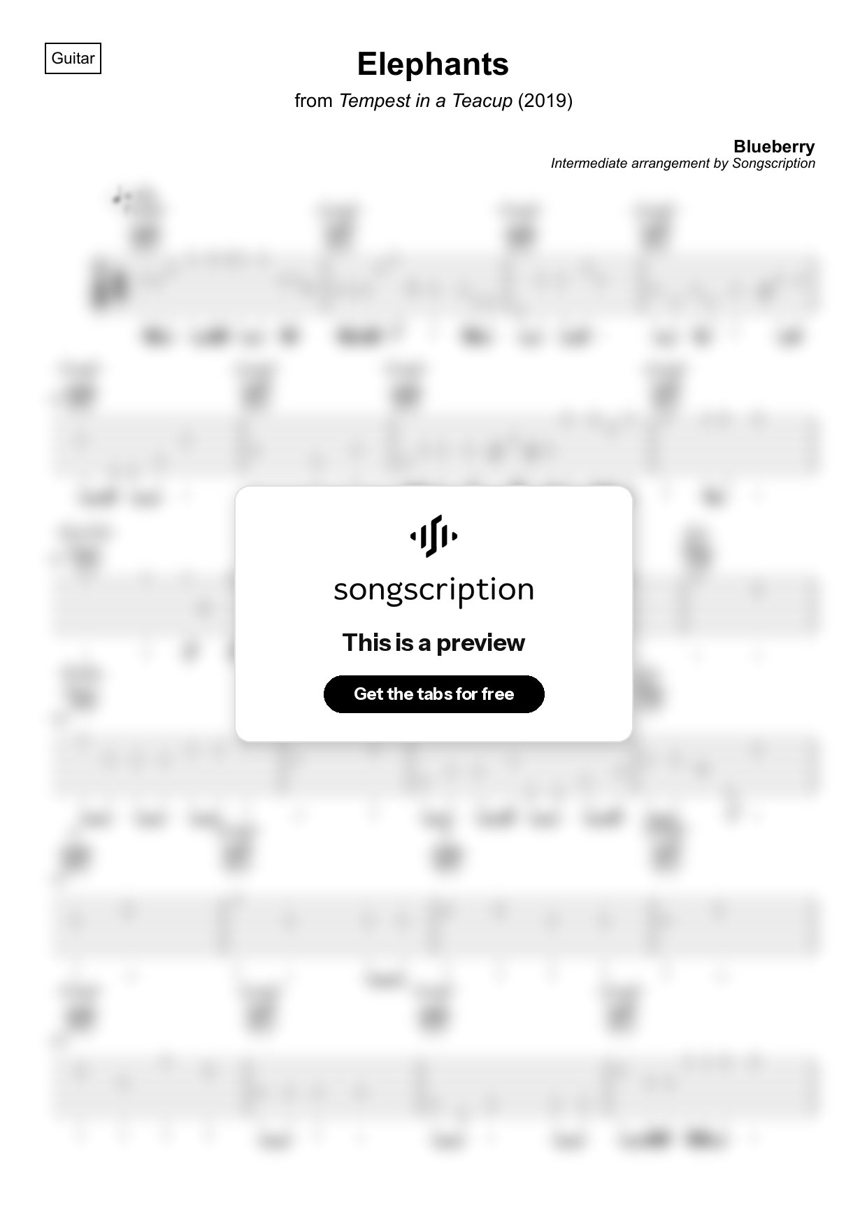 Intermediate Acoustic Guitar Tabs for "Elephants" by Blueberry