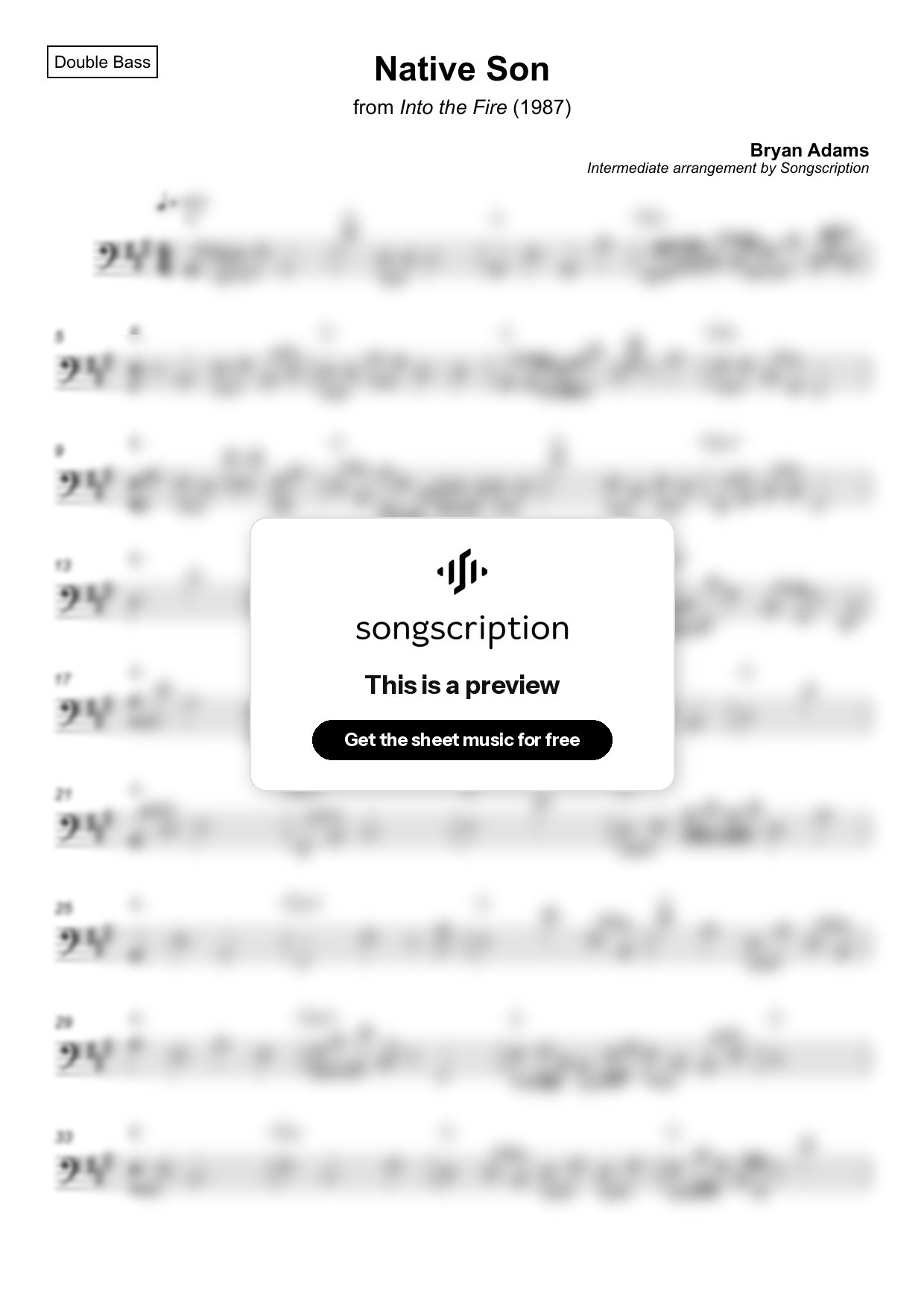 Intermediate Double Bass Sheet Music for "Native Son" by Bryan Adams