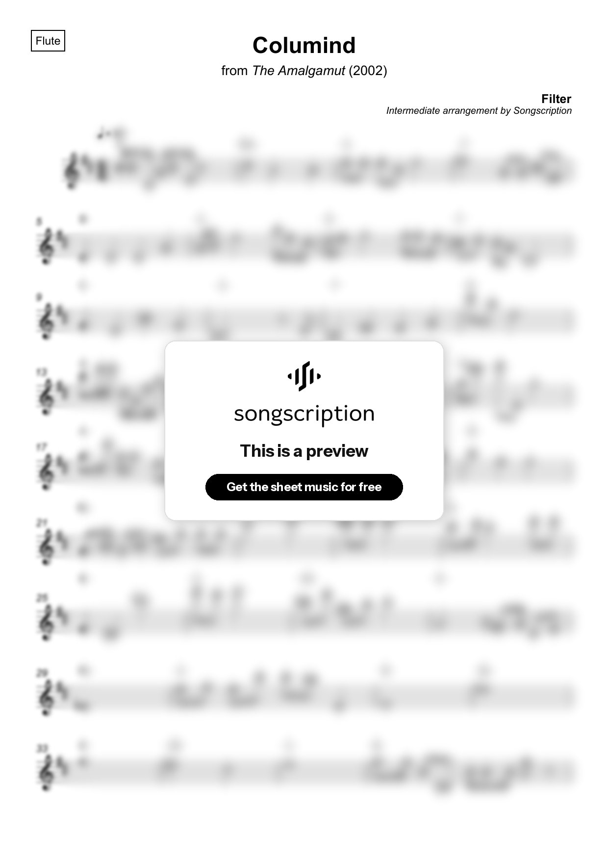 Intermediate Flute Sheet Music for "Columind" by Filter