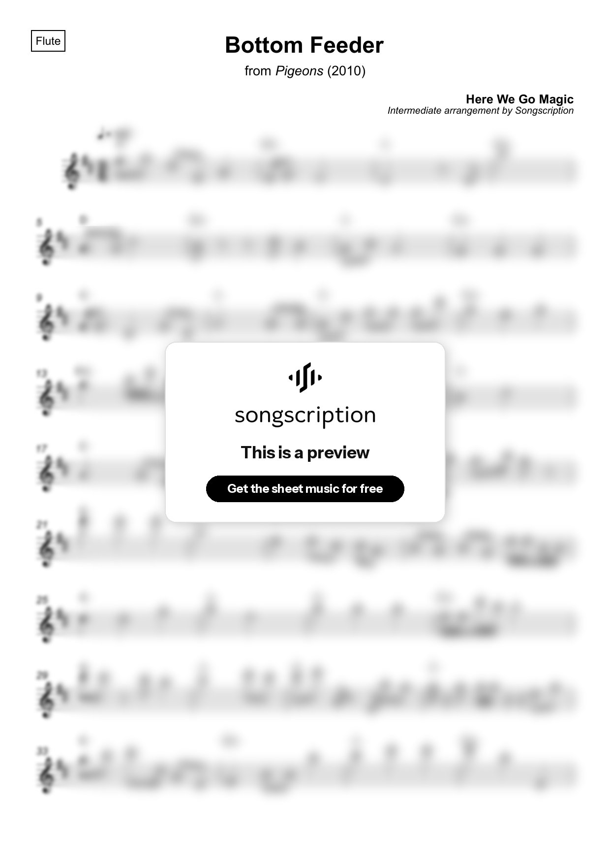 Intermediate Flute Sheet Music for "Bottom Feeder" by Here We Go Magic