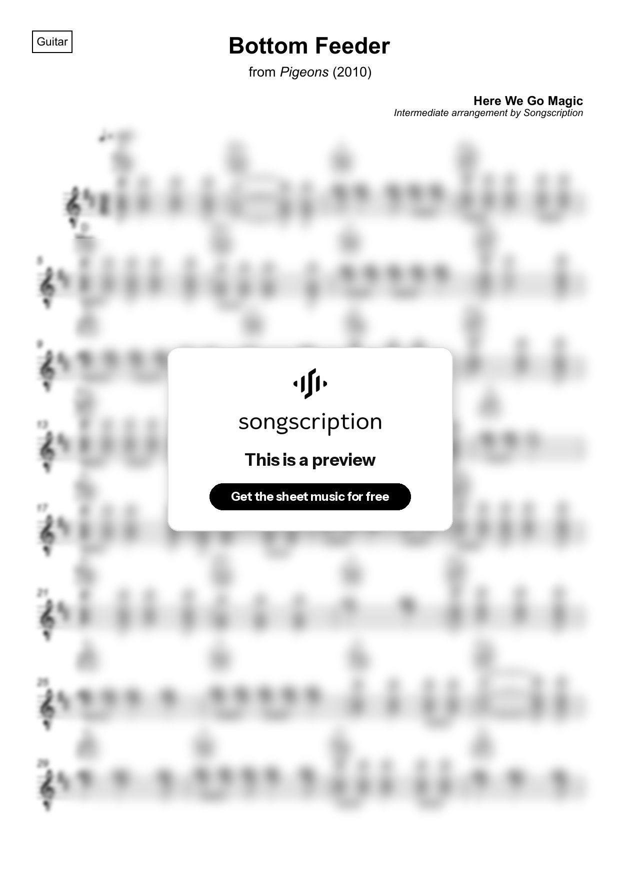 Intermediate Acoustic Guitar Sheet Music for "Bottom Feeder" by Here We Go Magic