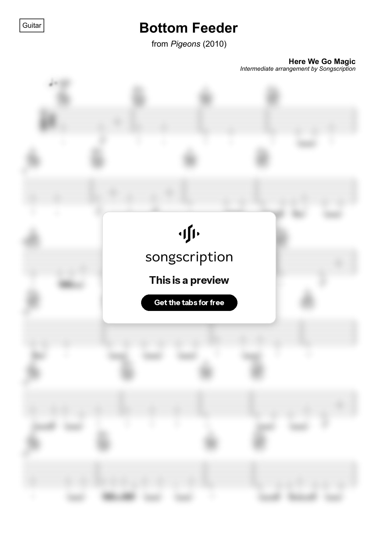 Intermediate Acoustic Guitar Tabs for "Bottom Feeder" by Here We Go Magic