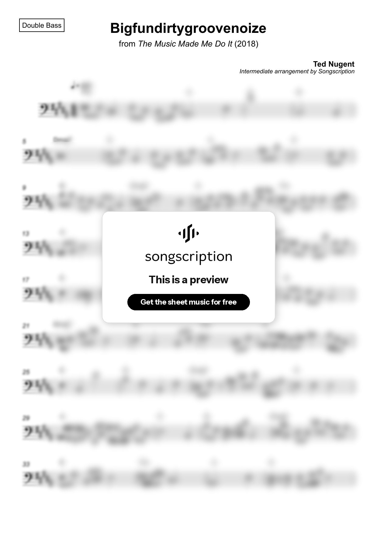 Intermediate Double Bass Sheet Music for "Bigfundirtygroovenoize" by Ted Nugent