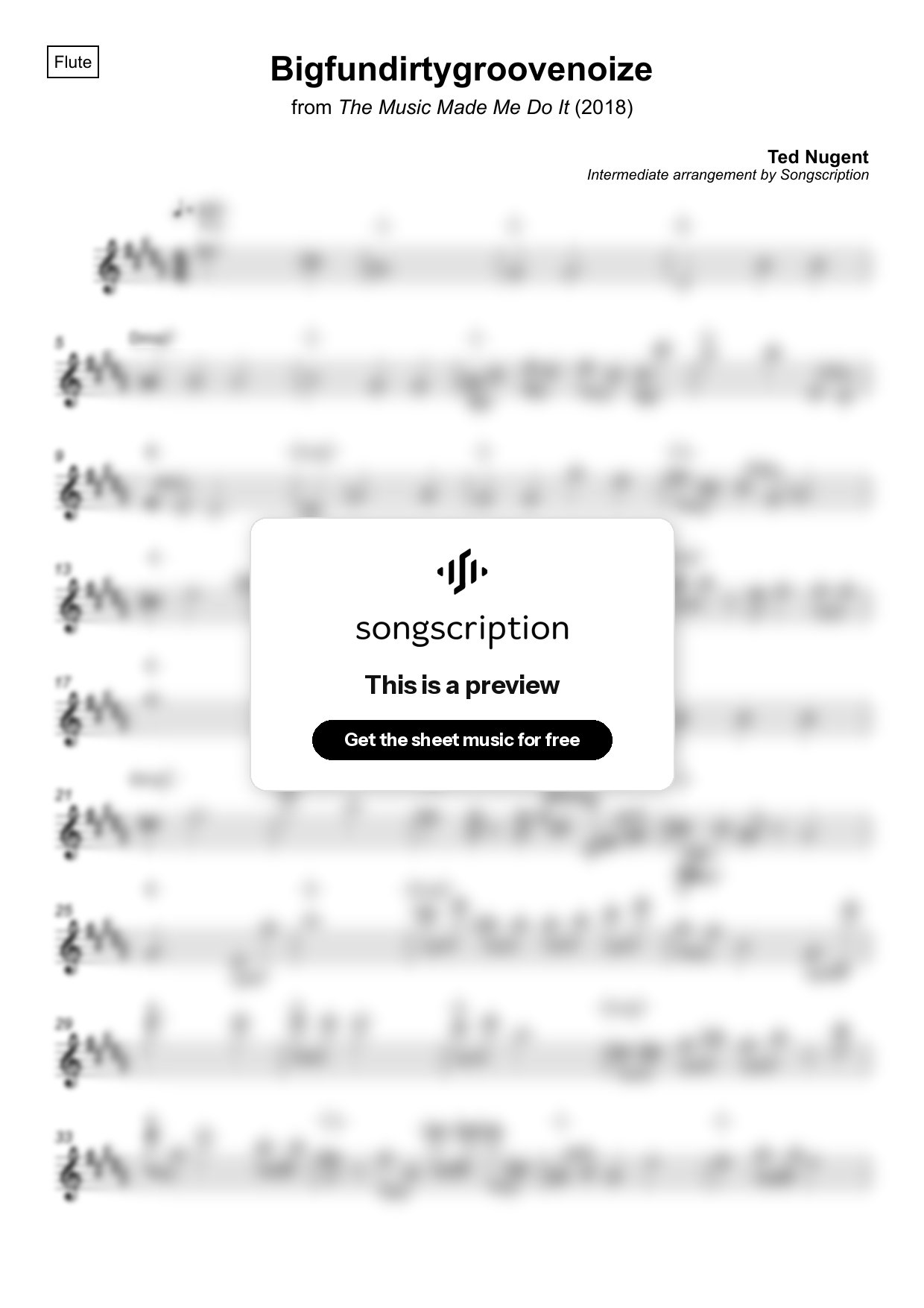 Intermediate Flute Sheet Music for "Bigfundirtygroovenoize" by Ted Nugent