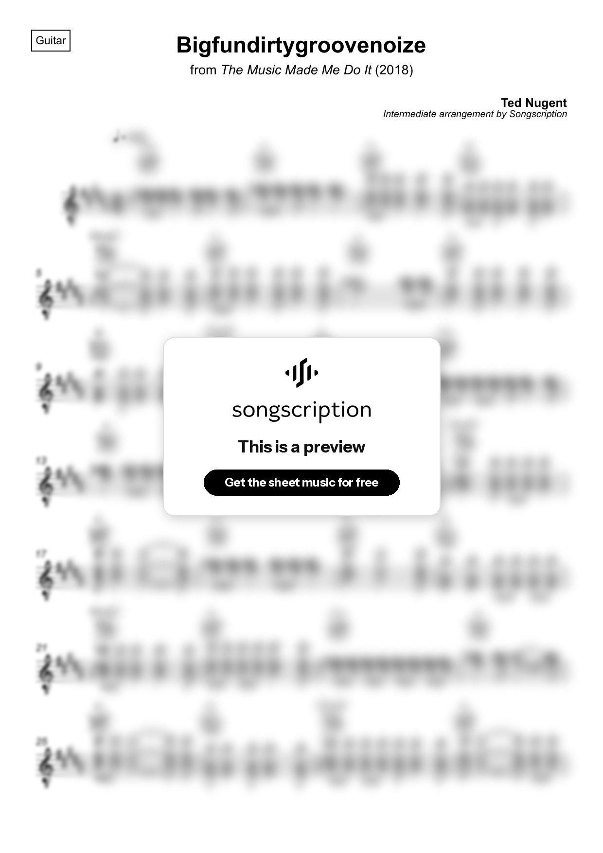 Intermediate Acoustic Guitar Sheet Music for "Bigfundirtygroovenoize" by Ted Nugent