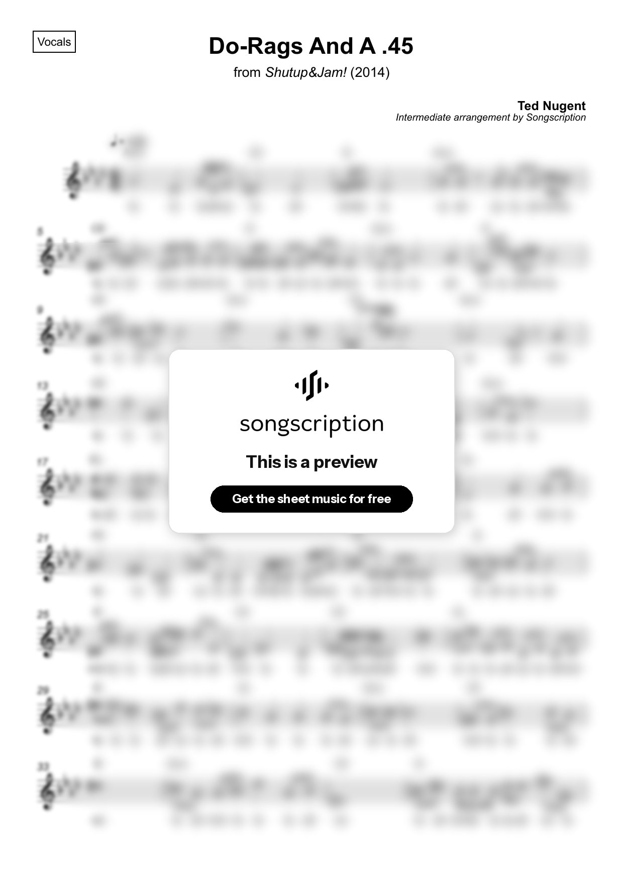 Intermediate Vocals Sheet Music for "Do-Rags And A .45" by Ted Nugent