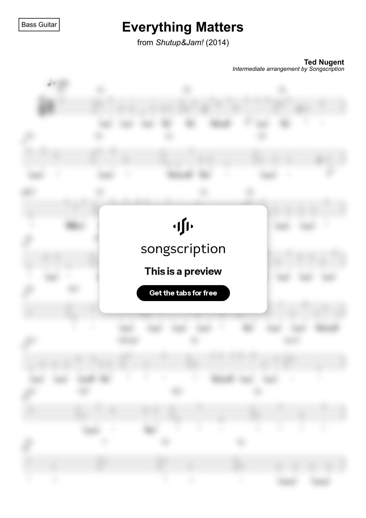 Intermediate Bass Guitar Tabs for "Everything Matters" by Ted Nugent