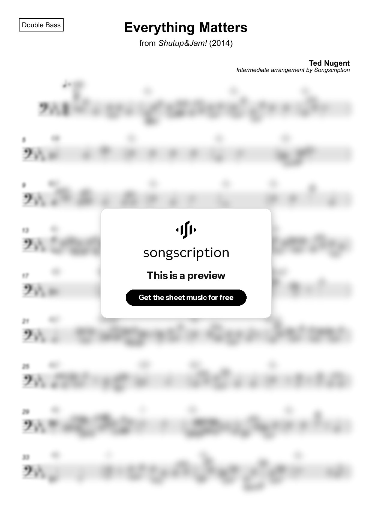 Intermediate Double Bass Sheet Music for "Everything Matters" by Ted Nugent