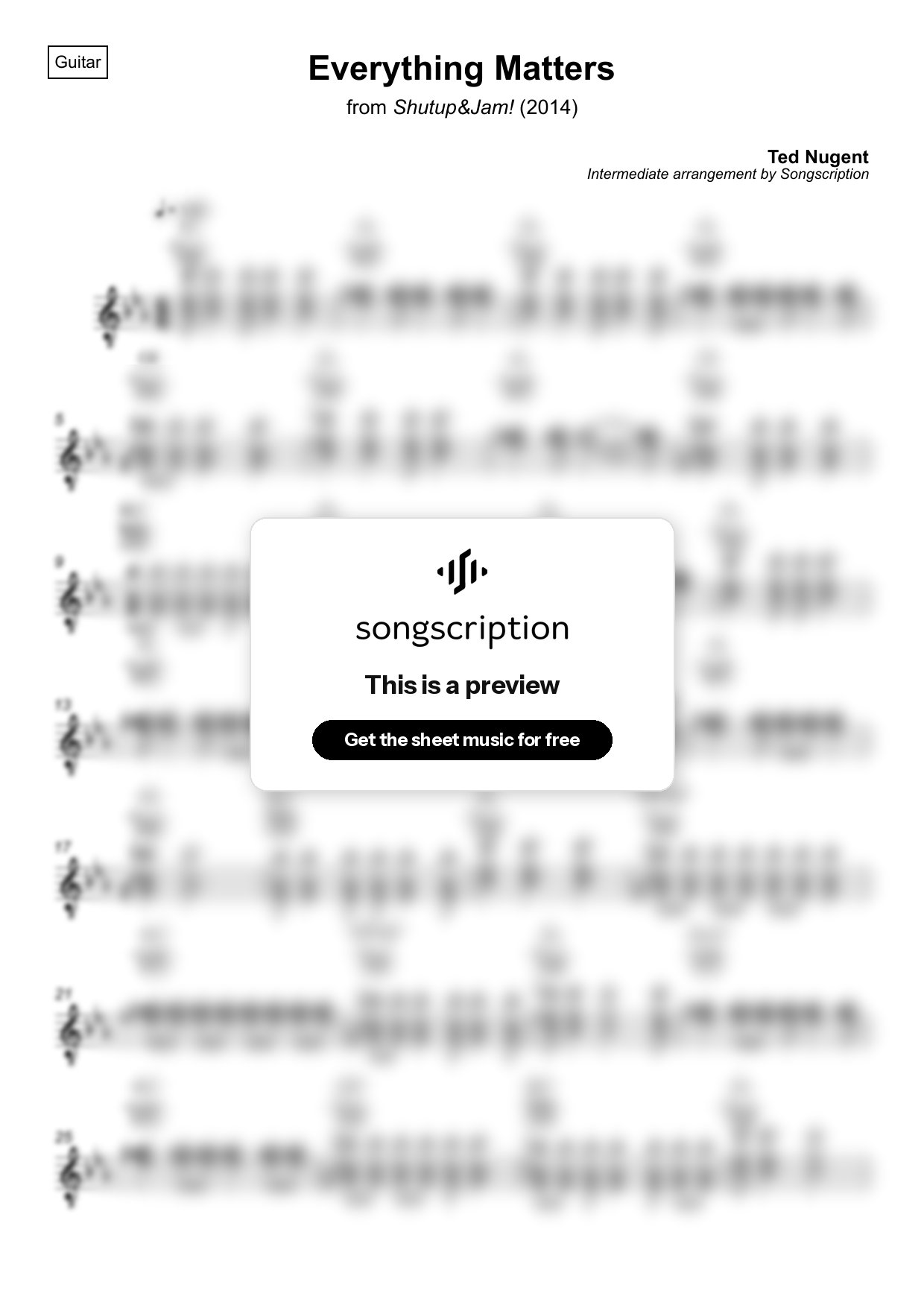 Intermediate Acoustic Guitar Sheet Music for "Everything Matters" by Ted Nugent