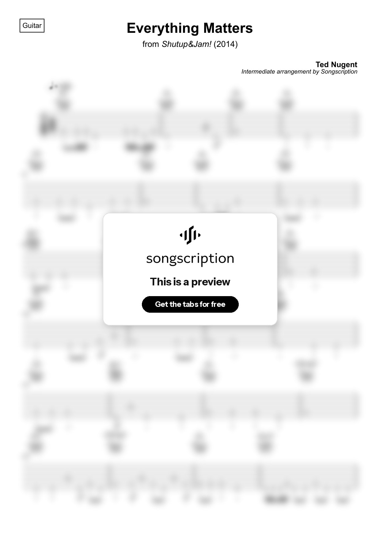 Intermediate Acoustic Guitar Tabs for "Everything Matters" by Ted Nugent