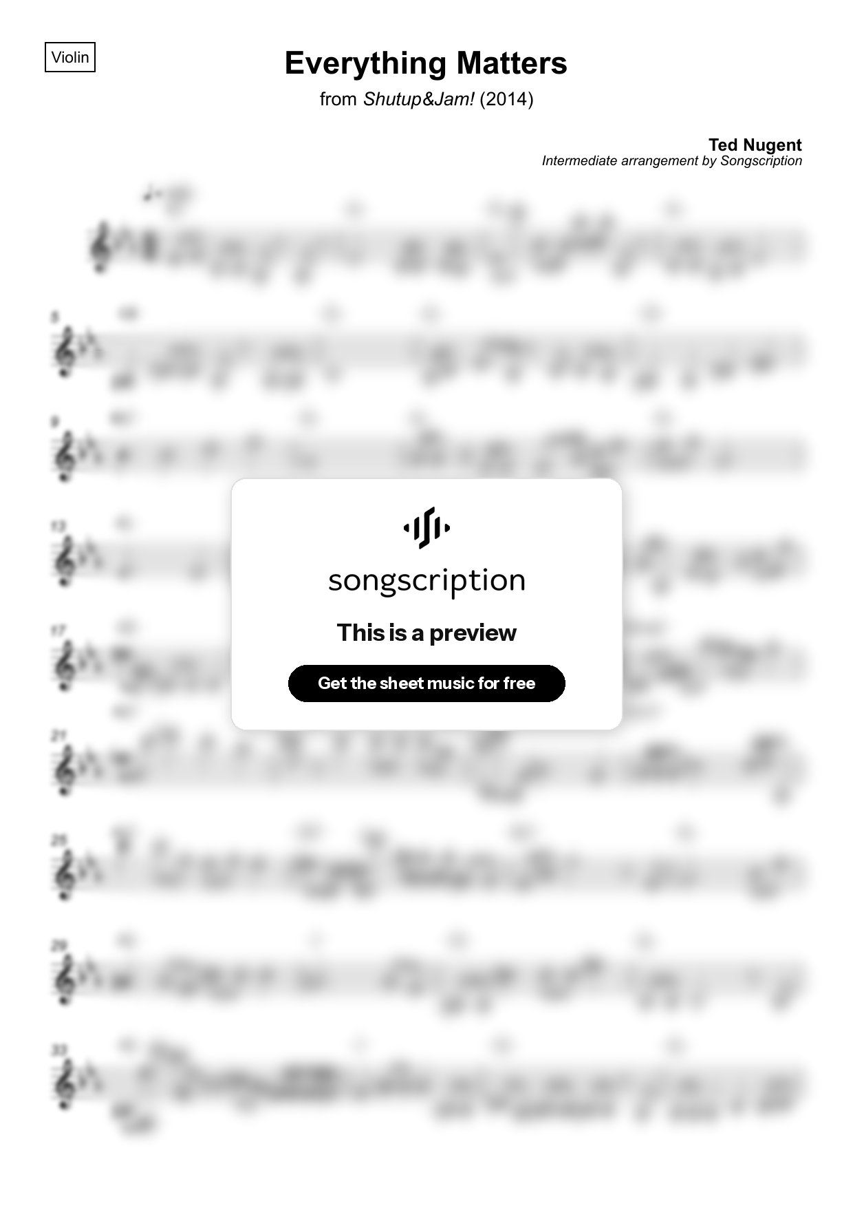 Intermediate Violin Sheet Music for "Everything Matters" by Ted Nugent