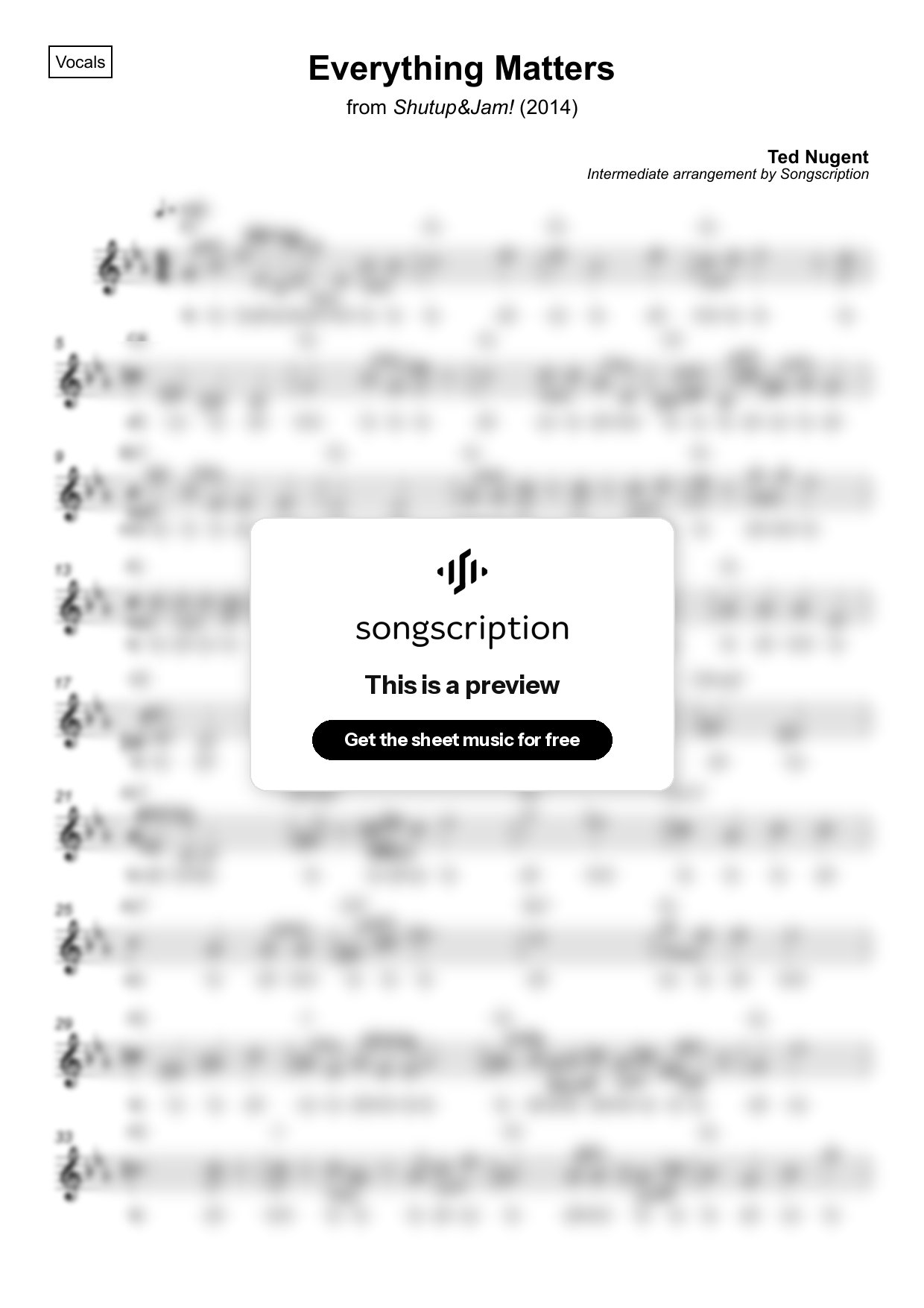 Intermediate Vocals Sheet Music for "Everything Matters" by Ted Nugent
