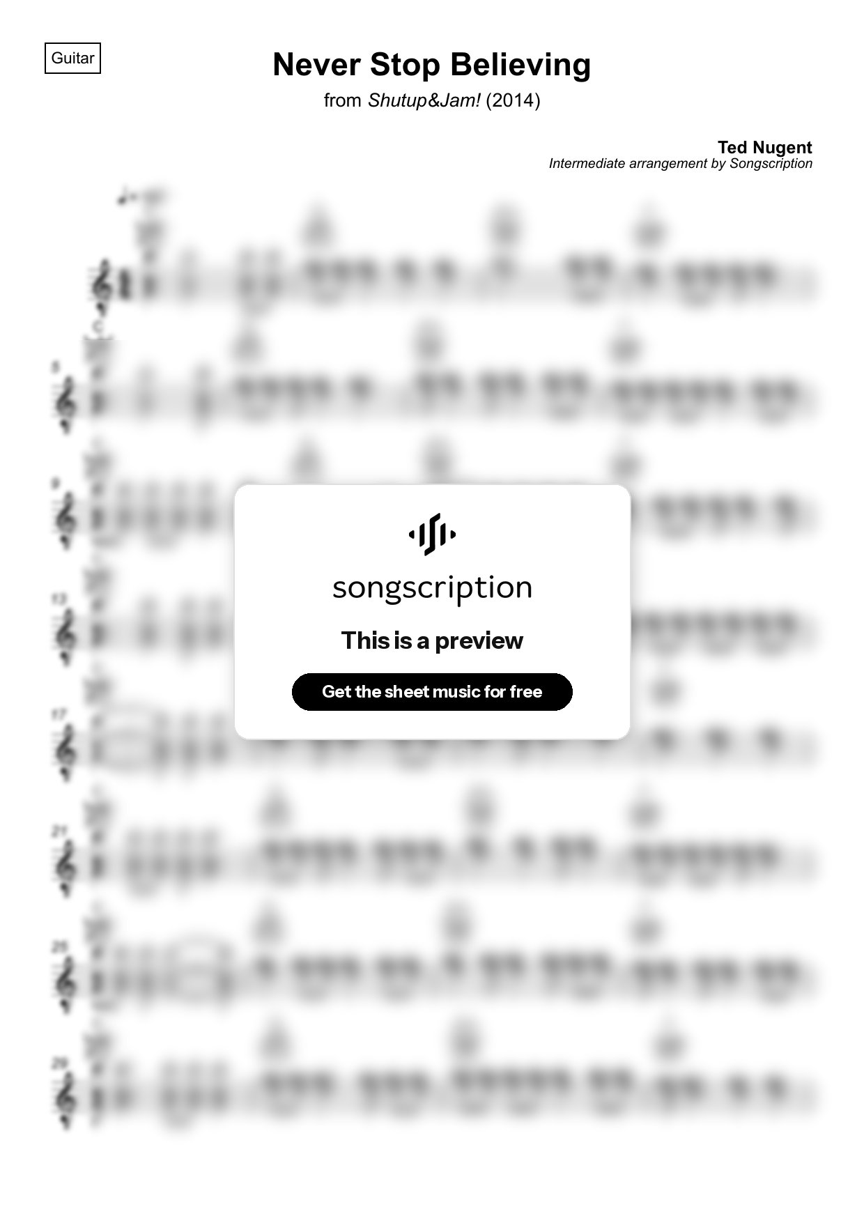 Intermediate Acoustic Guitar Sheet Music for "Never Stop Believing" by Ted Nugent