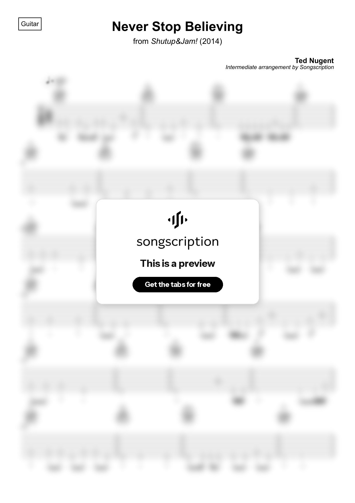 Intermediate Acoustic Guitar Tabs for "Never Stop Believing" by Ted Nugent