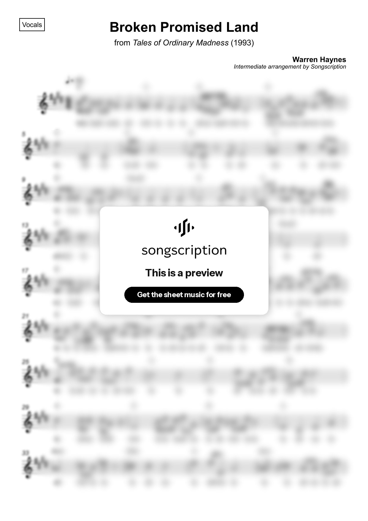 Intermediate Vocals Sheet Music for "Broken Promised Land" by Warren Haynes